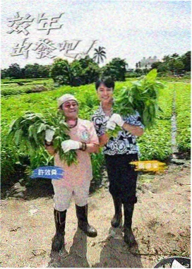 山海食堂 番剧封面